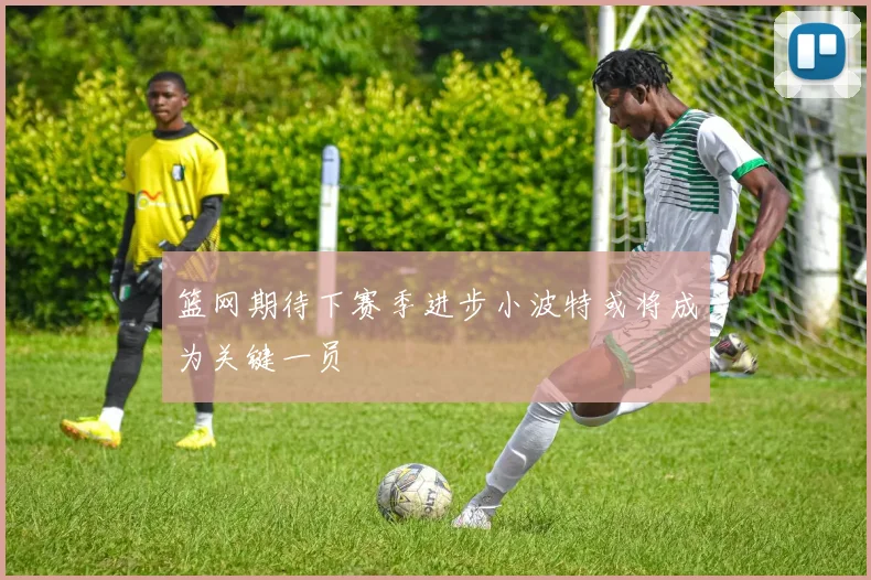 篮网期待下赛季进步小波特或将成为关键一员