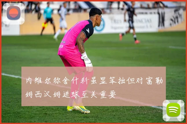 内维尔称舍什科虽显笨拙但对富勒姆西汉姆进球至关重要