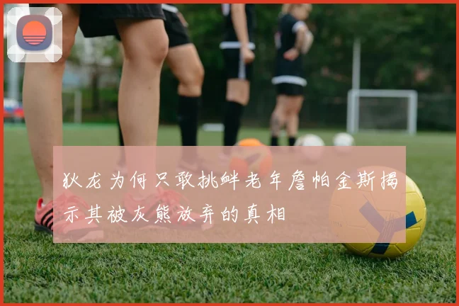 狄龙为何只敢挑衅老年詹帕金斯揭示其被灰熊放弃的真相