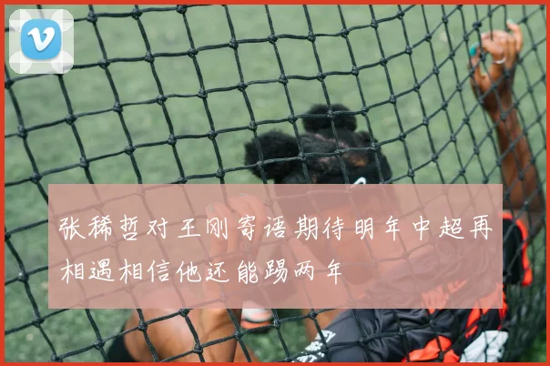 张稀哲对王刚寄语期待明年中超再相遇相信他还能踢两年