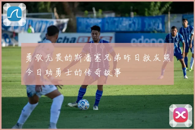 勇敢无畏的斯潘塞兄弟昨日救灰熊今日助勇士的传奇故事