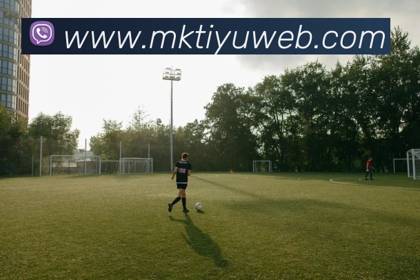 MK体育品牌故事