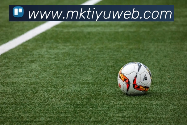 MK体育服务体系